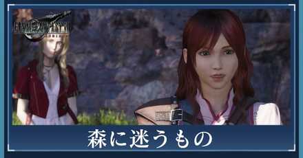 森に迷うものの攻略