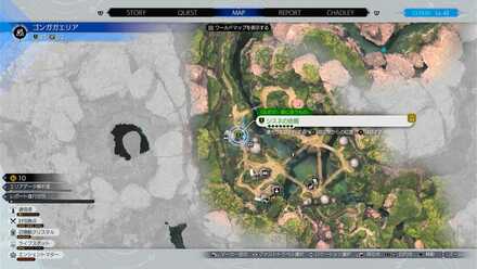 スミレ広場：ゴンガガエリア