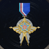 宇宙騎士団名誉金星勲章の画像