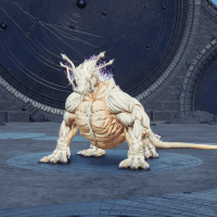 フルウムヴァラヌス画像