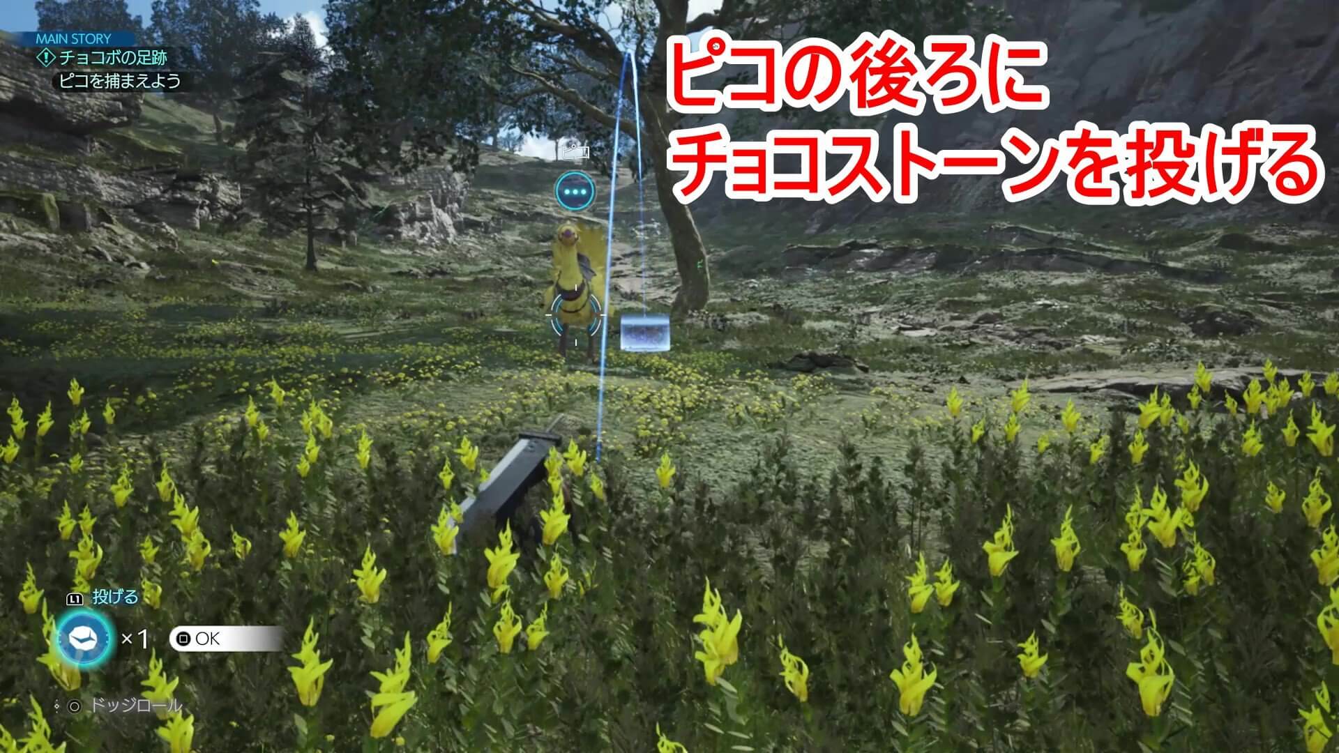 チョコストーンを投げる画像