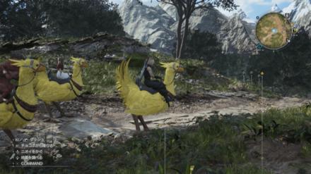 チョコボに乗っている画像