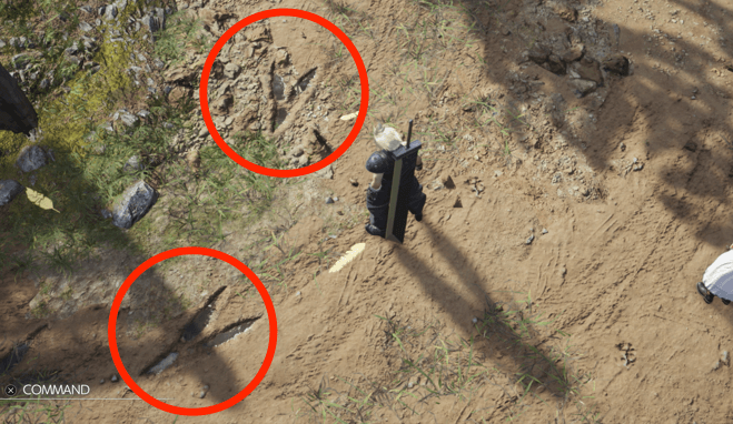 チョコボの足跡の画像