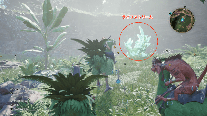 ライフストリーム