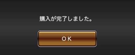 購入完了　画像