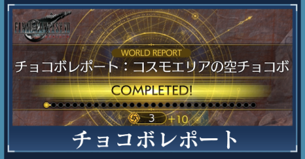 チョコボレポート