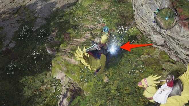 チョコボがアイテムを発掘している画像