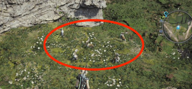 お宝の近くのうさぎの画像