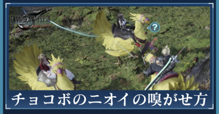 匂いの嗅ぎ方