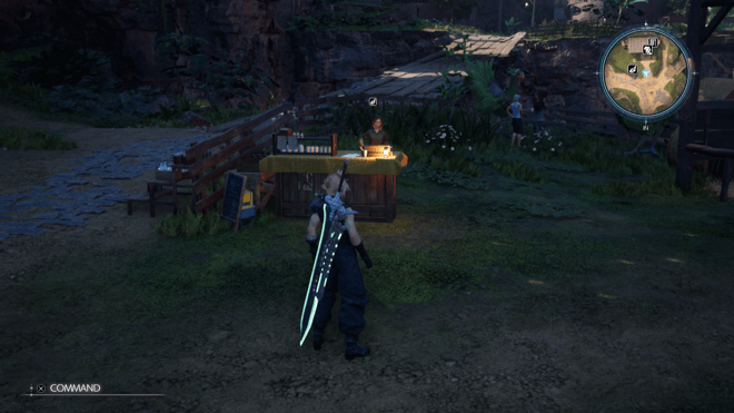 ゴンガガ村のチョコボショップのNPCの画像