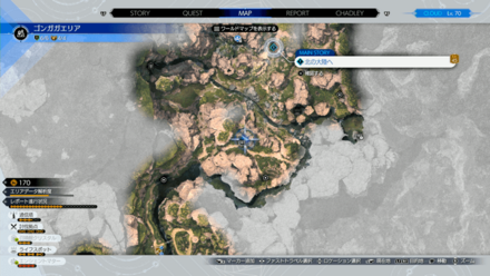 ゴンガガエリア守り人の展望台の宝箱から入手のマップ