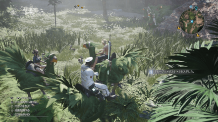 チョコボの宝探し