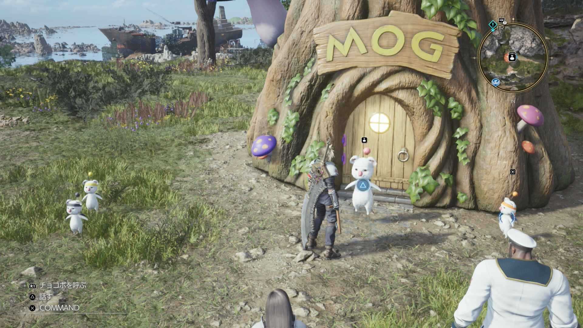 モーグリショップ