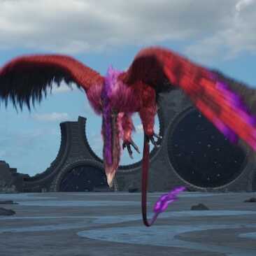 キングズー画像