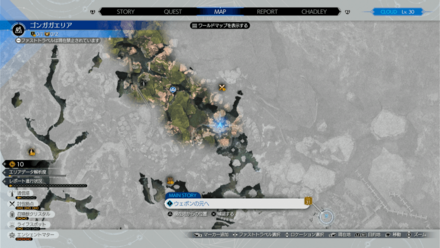 ゴンガガエリア画像