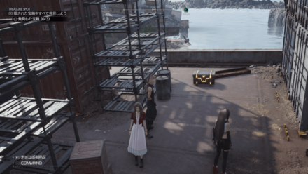 レスキューバッジの現地画像