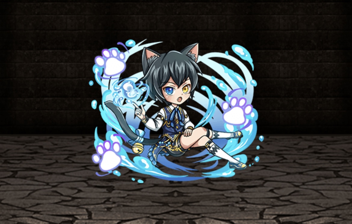 黒毛の子猫テイルスの画像