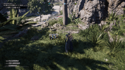 フェニックスの尾の場所