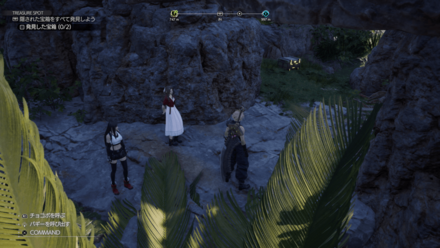 ミックスハイポーションの現地画像