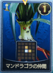 マンドラゴラの仲間