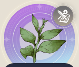 魔法の草の画像