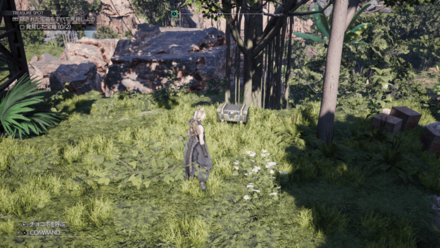 フェニックスの尾の場所