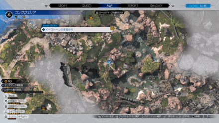 フェニックスの尾のマップ