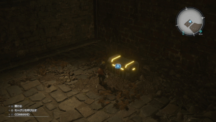 精霊のピアスの画像