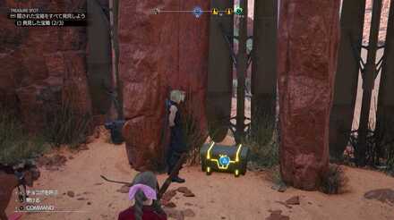 万能薬の現地画像