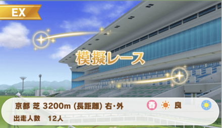 模擬レース(3200m/長距離)