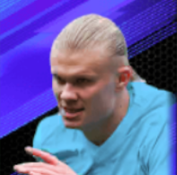 HPアーリング・ハーランド(03/14)画像