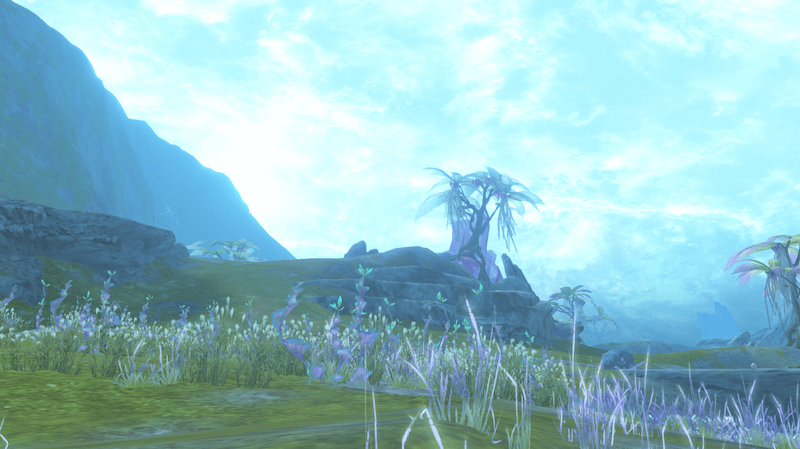 第2区域：アニマ