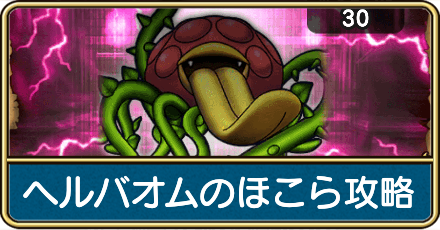 ヘルバオムのほこら攻略