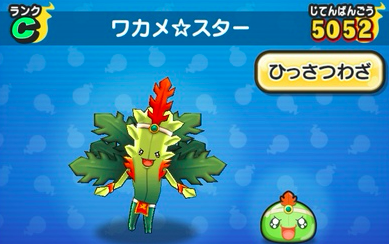 ワカメスター　画像