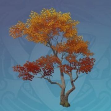 岩這の盤伏の木の画像