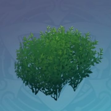 「仙茶の根幹」の画像