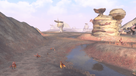 第1区域：ヴィータ