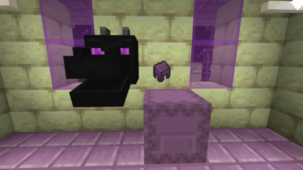 エンドシティレアアイテム