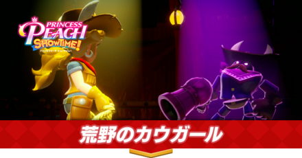 荒野のカウガール画像