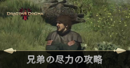 兄弟の尽力の攻略