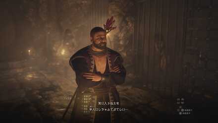 フィスカの見た目