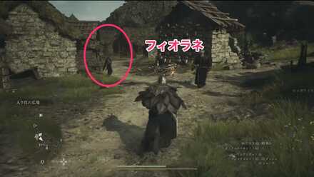 フィオラネの見た目