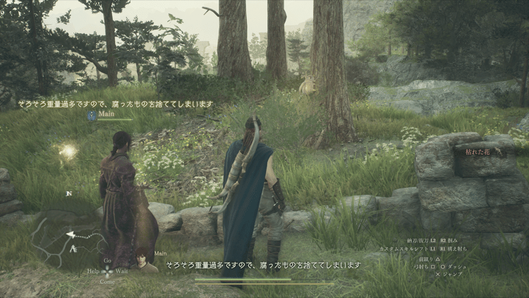 黄金のコガネムシ