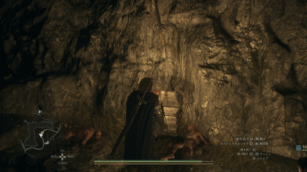 ヌレミツバの葉