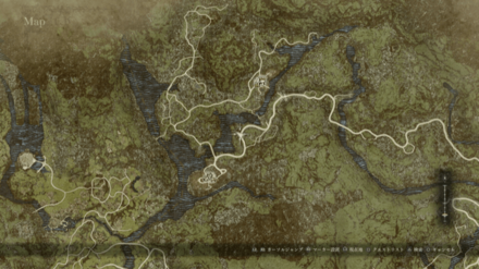 ヌレミツバの葉