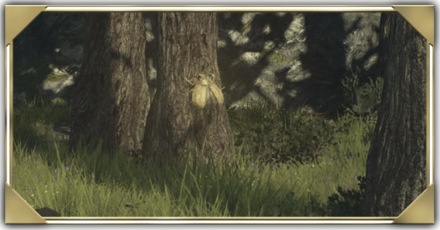 金色のテイオウコガネ