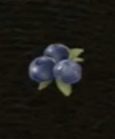 ブルーベリー画像