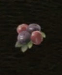 クランベリー画像