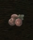 腐りかけのラズベリー画像