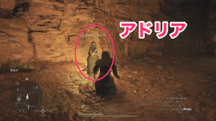 家を売ってくれるNPC